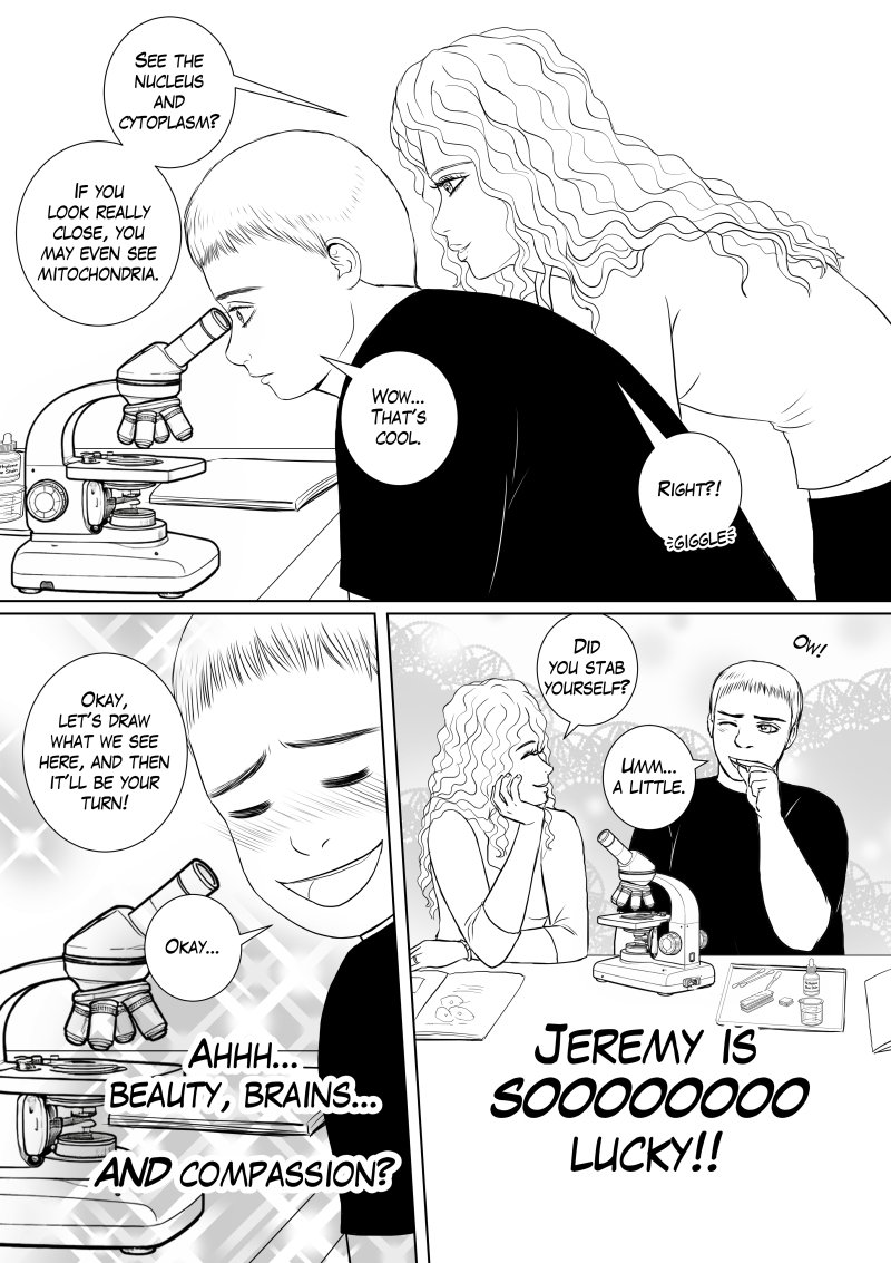 Chapter 3, page 16