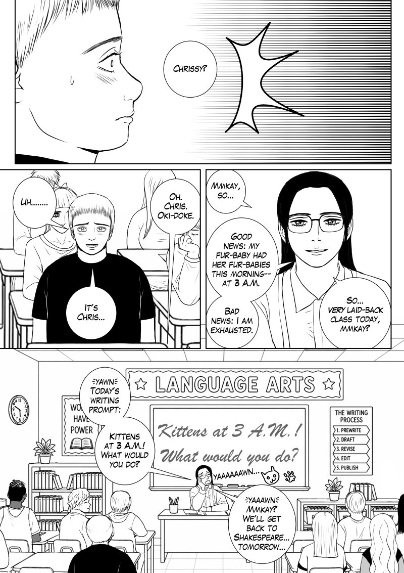 Chapter 3, page 20